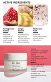 Moisturizing and Firming Facial, Eye and Neck Skin Cream with Pomegranate and Ginger Extracts SPF 15