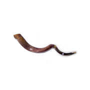 Natural Kudu Horn Shofar – 110-114 cm Yemenite Shofar - SeasideSPA