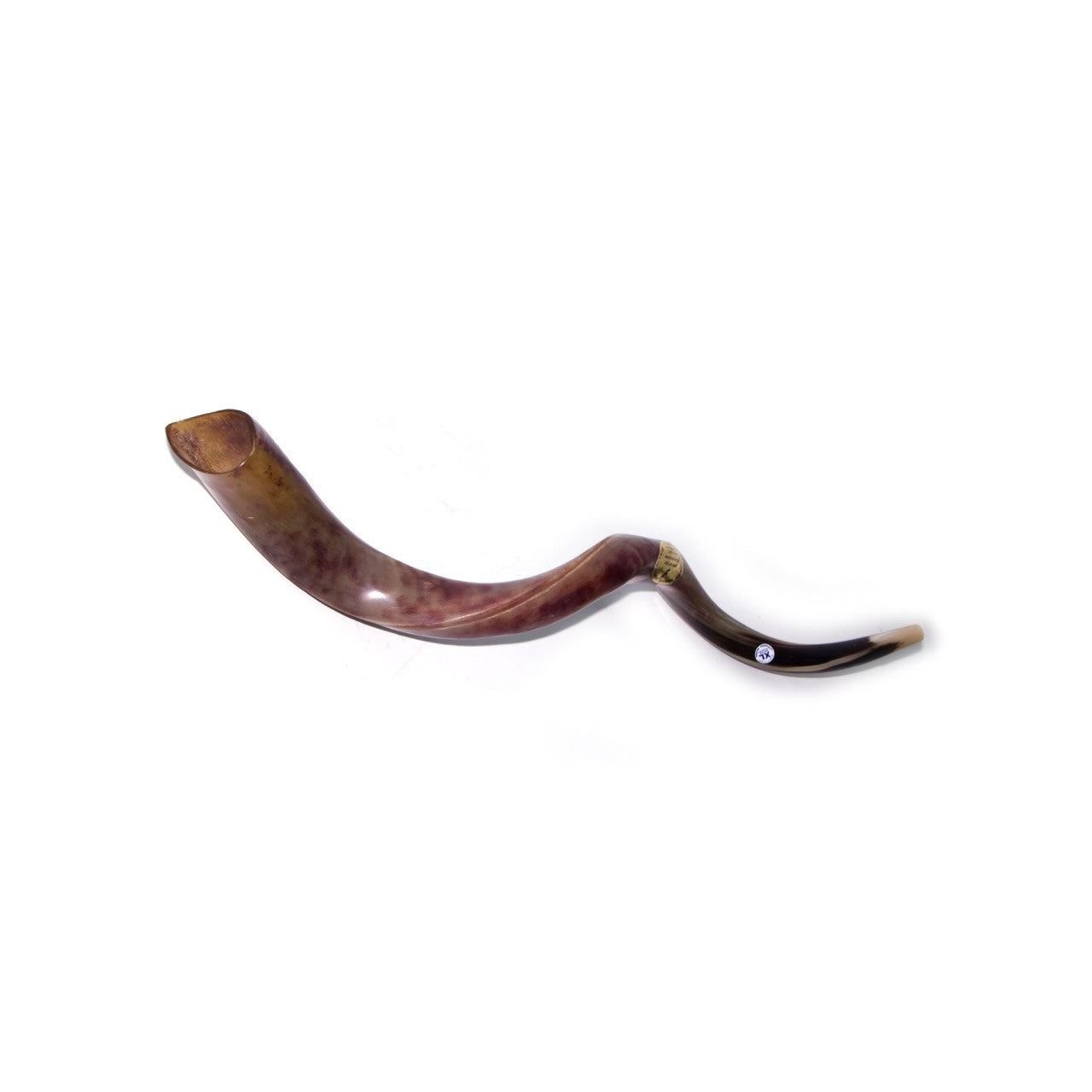 Natural Kudu Horn Shofar – 110-114 cm Yemenite Shofar - SeasideSPA