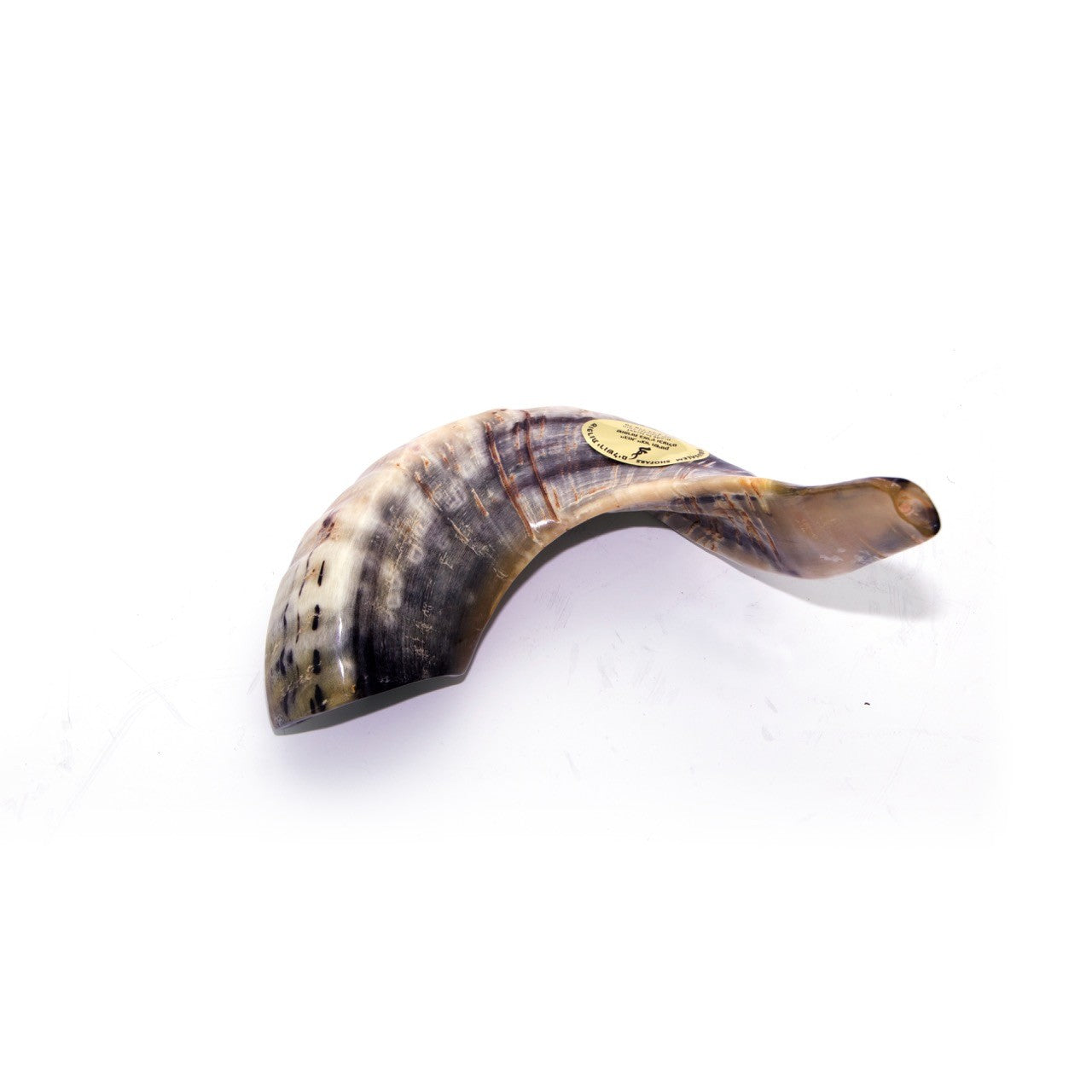 Natural Ram’s Horn Shofar – 40-44 cm Traditional Shofar - SeasideSPA