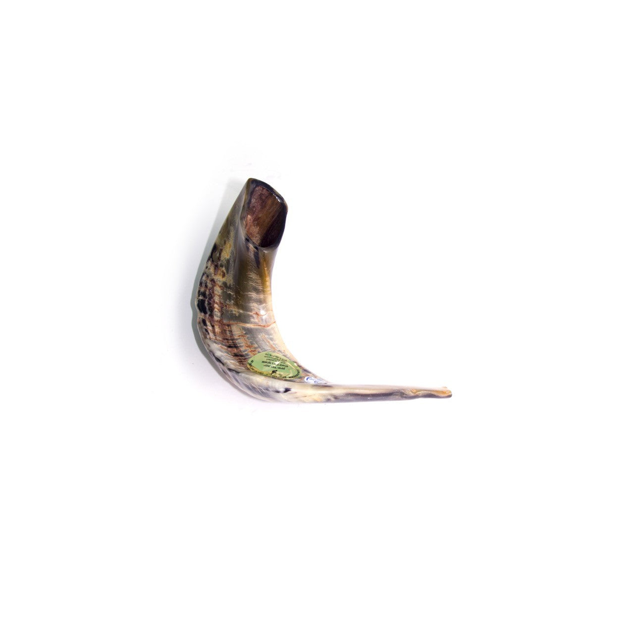Natural Ram’s Horn Shofar – 40-44 cm Traditional Shofar - SeasideSPA