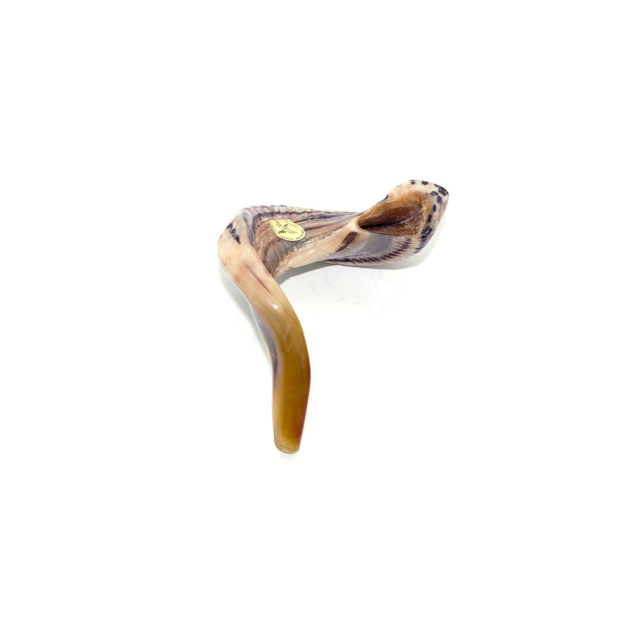 Natural Ram’s Horn Shofar – 50–54 cm Traditional Shofar - SeasideSPA