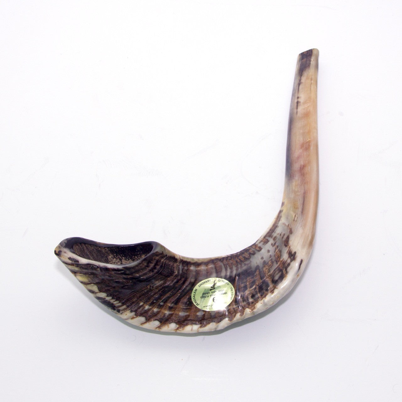 Natural Ram’s Horn Shofar – 45–49 cm Authentic Shofar - SeasideSPA