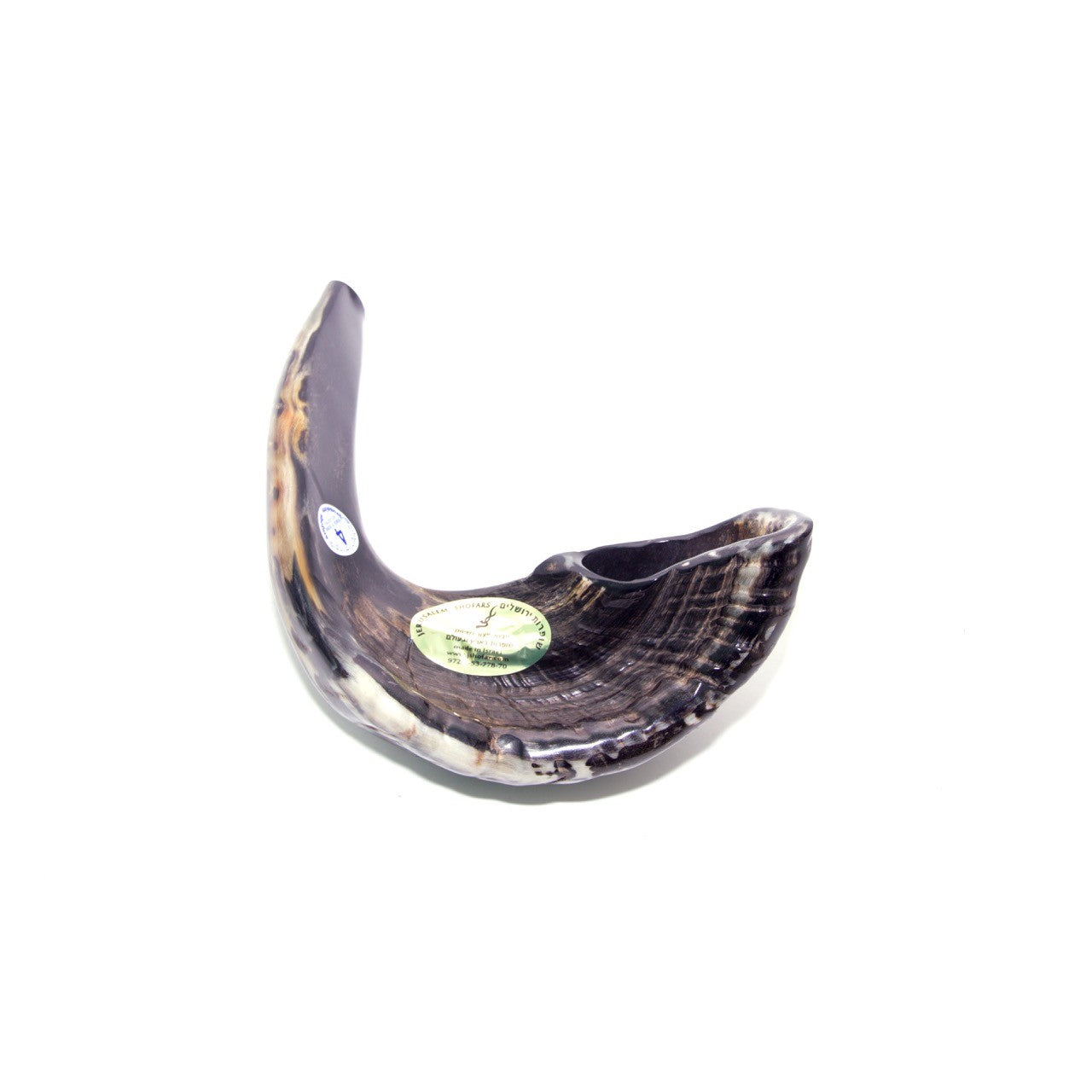 Natural Ram’s Horn Shofar – 35-39 cm Traditional Shofar - SeasideSPA