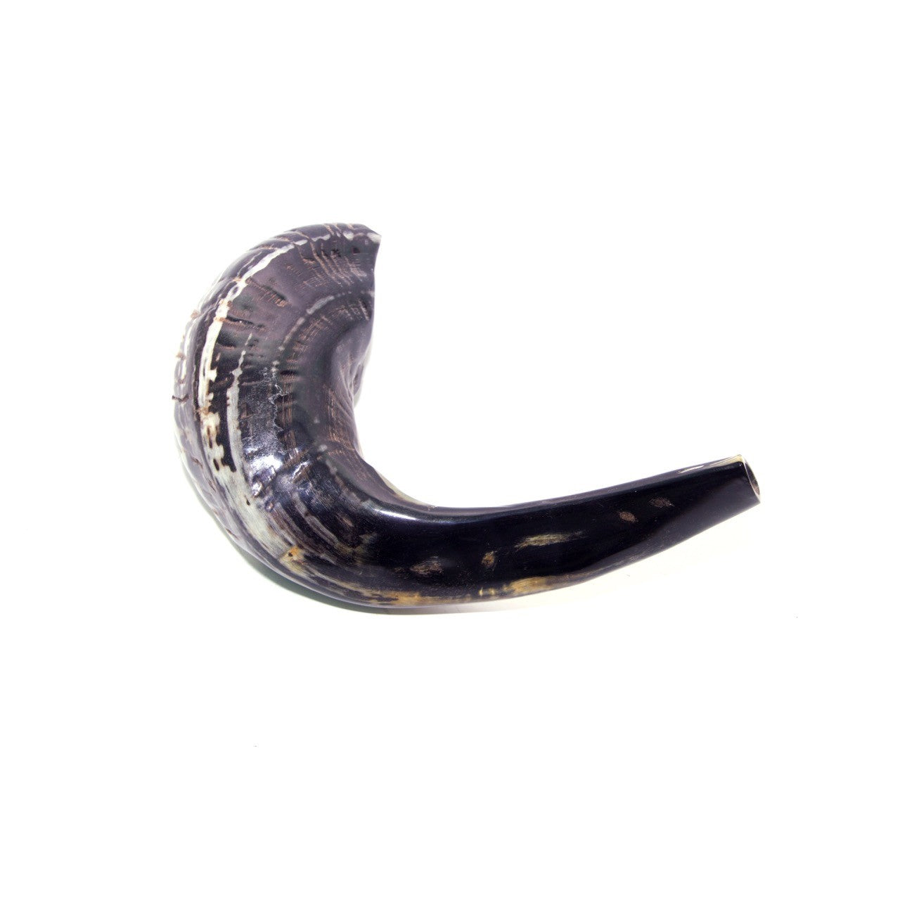 Natural Ram’s Horn Shofar – 35-39 cm Traditional Shofar - SeasideSPA