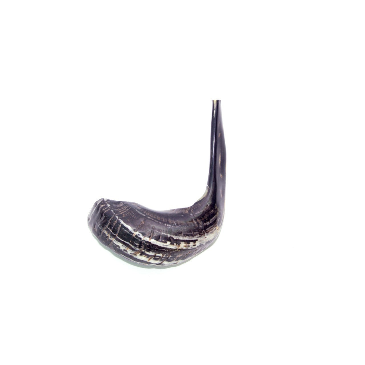 Natural Ram’s Horn Shofar – 35-39 cm Traditional Shofar - SeasideSPA