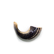 Natural Ram’s Horn Shofar – 15-24 cm Traditional Shofar - SeasideSPA
