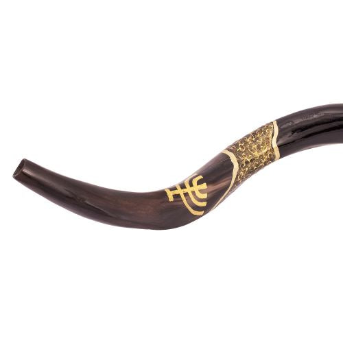 Painted Kudu Shofar Lion of Judah – Authentic Israeli Shofar - SeasideSPA