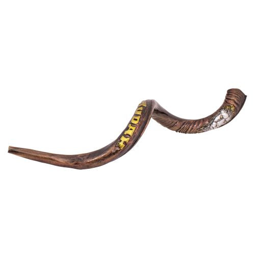 Hand Engraved Kosher Shofar – Lion of Judah Design (110–115 cm) - SeasideSPA