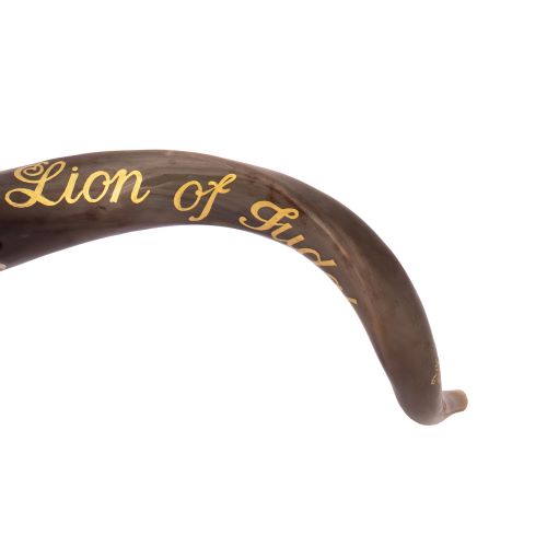 Painted Kudu Shofar Lion of Judah – 100–104 cm Jerusalem Shofar - SeasideSPA