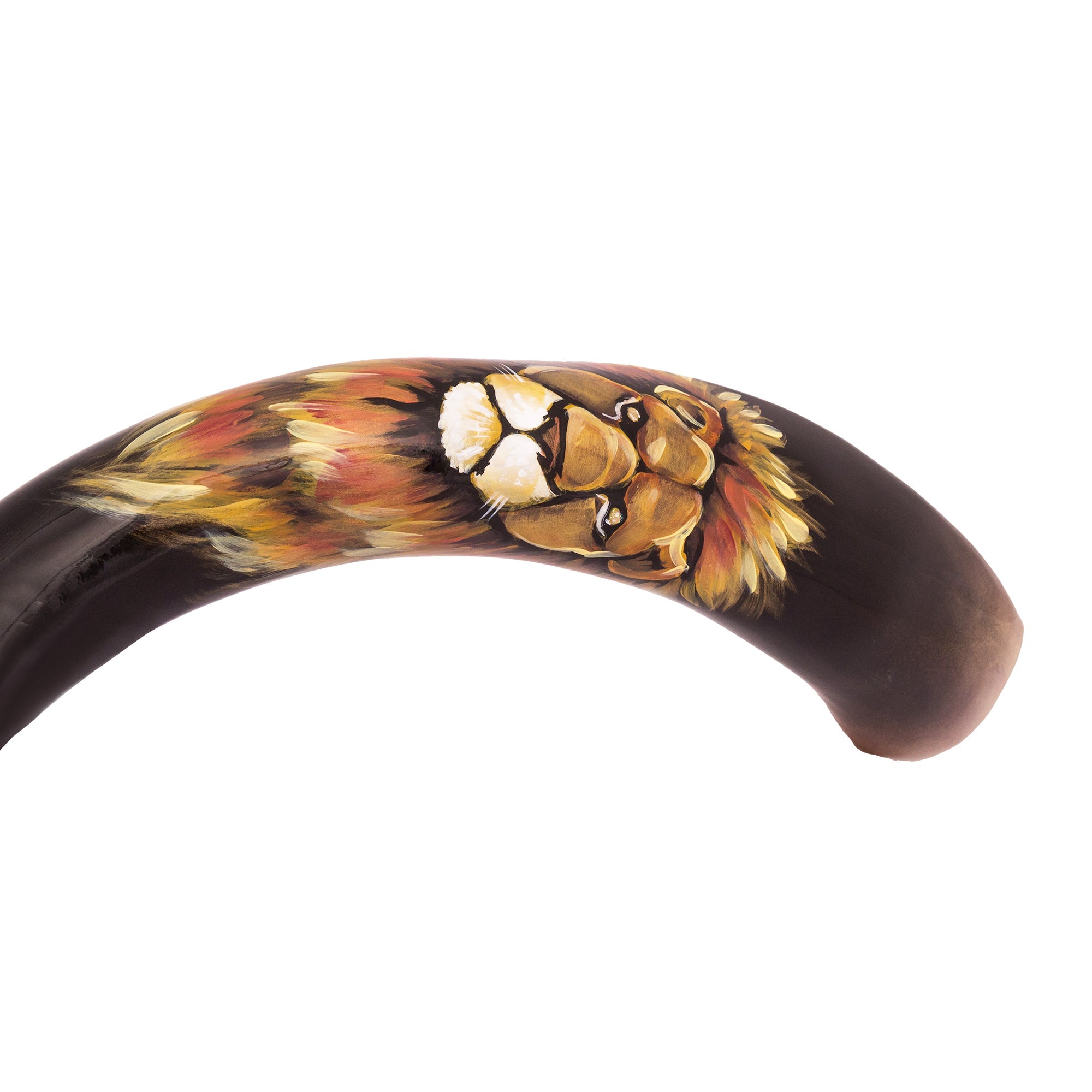 Painted Kudu Shofar Lion of Judah – Handmade Jerusalem Shofar - SeasideSPA