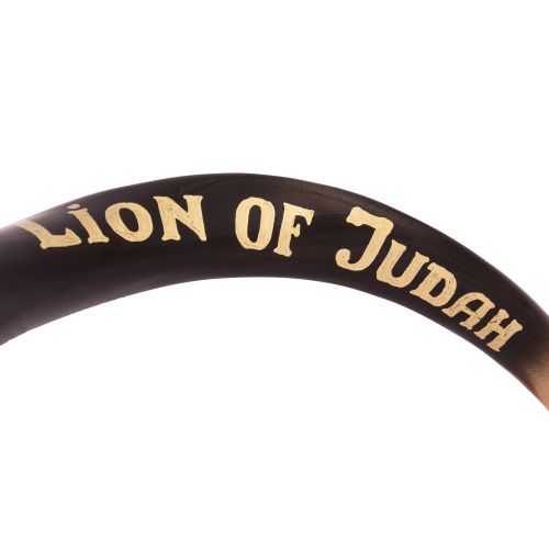 Painted Kudu Shofar Lion of Judah – Handmade Jerusalem Shofar - SeasideSPA