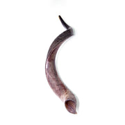 Natural Kudu Horn Shofar – 90-99 cm Yemenite Shofar - SeasideSPA