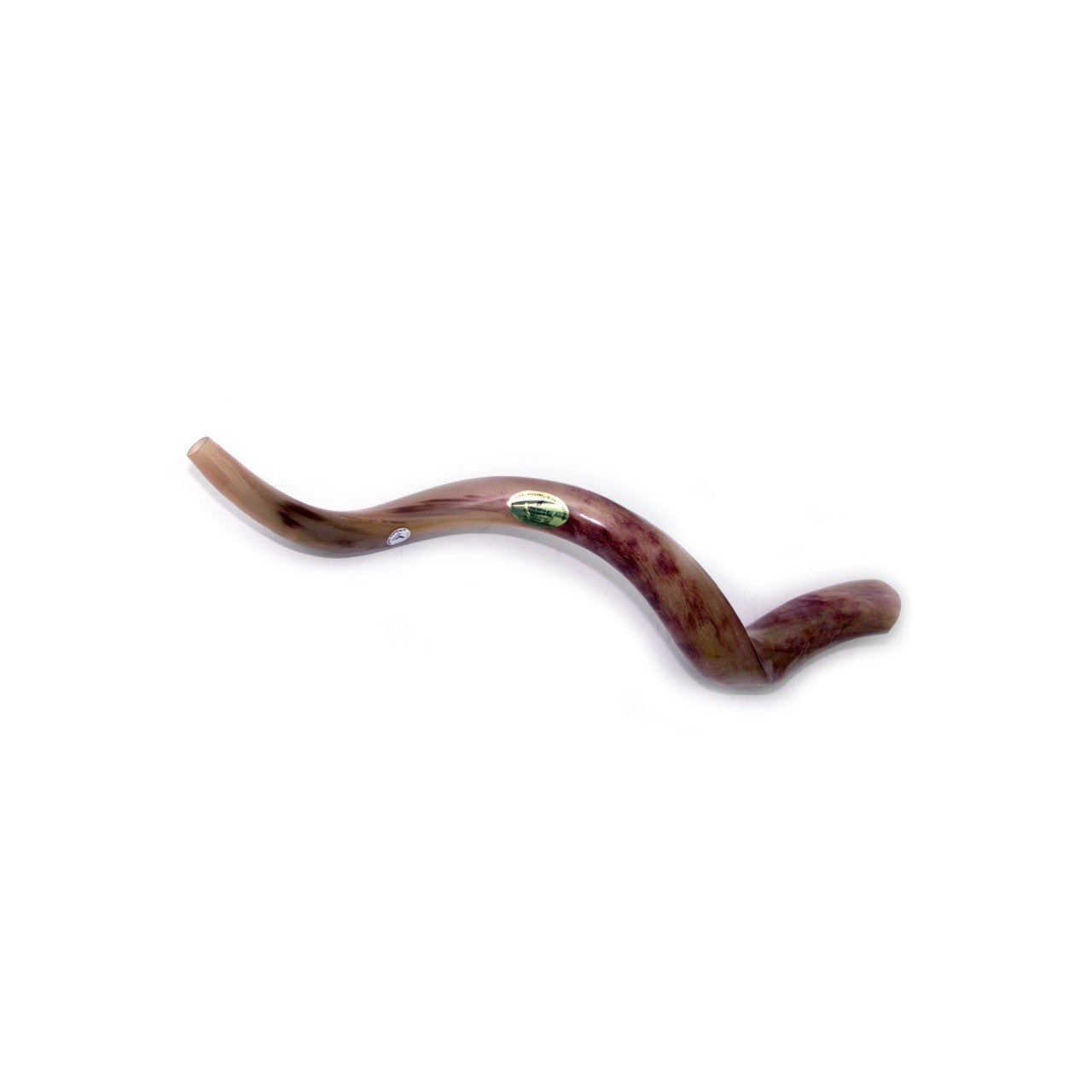 Natural Kudu Horn Shofar – 90-99 cm Yemenite Shofar - SeasideSPA