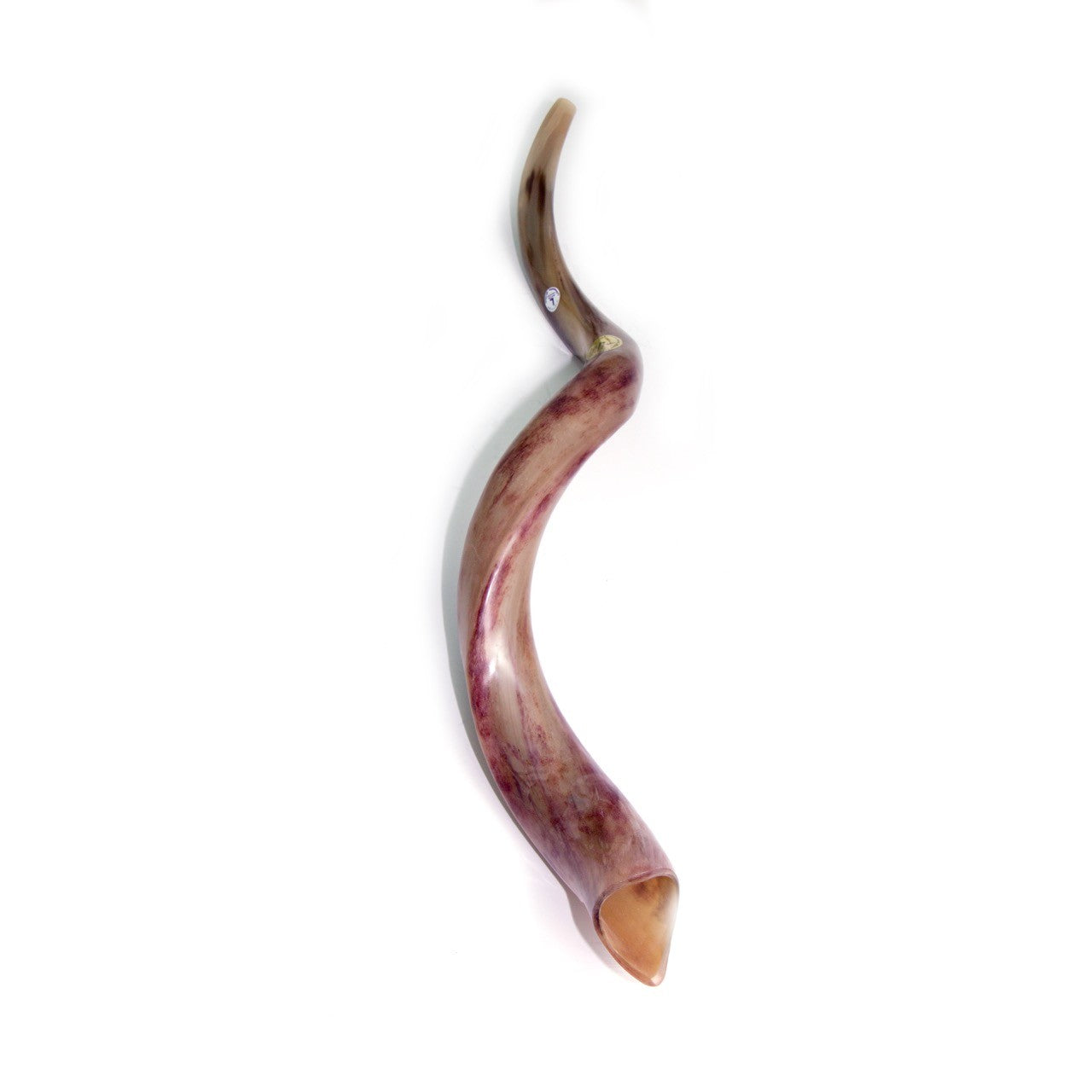 Natural Kudu Horn Shofar – 90-99 cm Yemenite Shofar - SeasideSPA