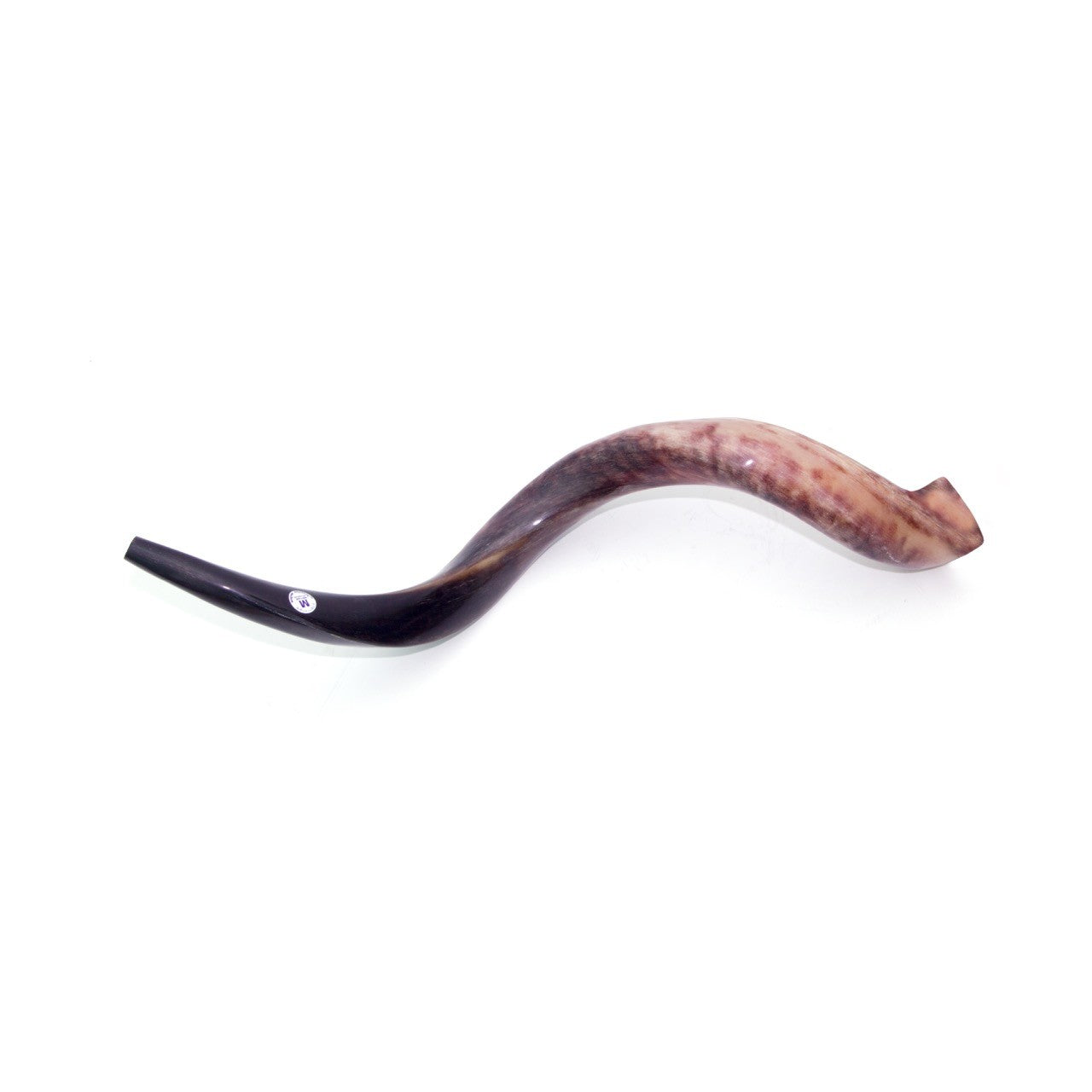 Natural Kudu Horn Shofar – 70-79 cm Yemenite Shofar - SeasideSPA