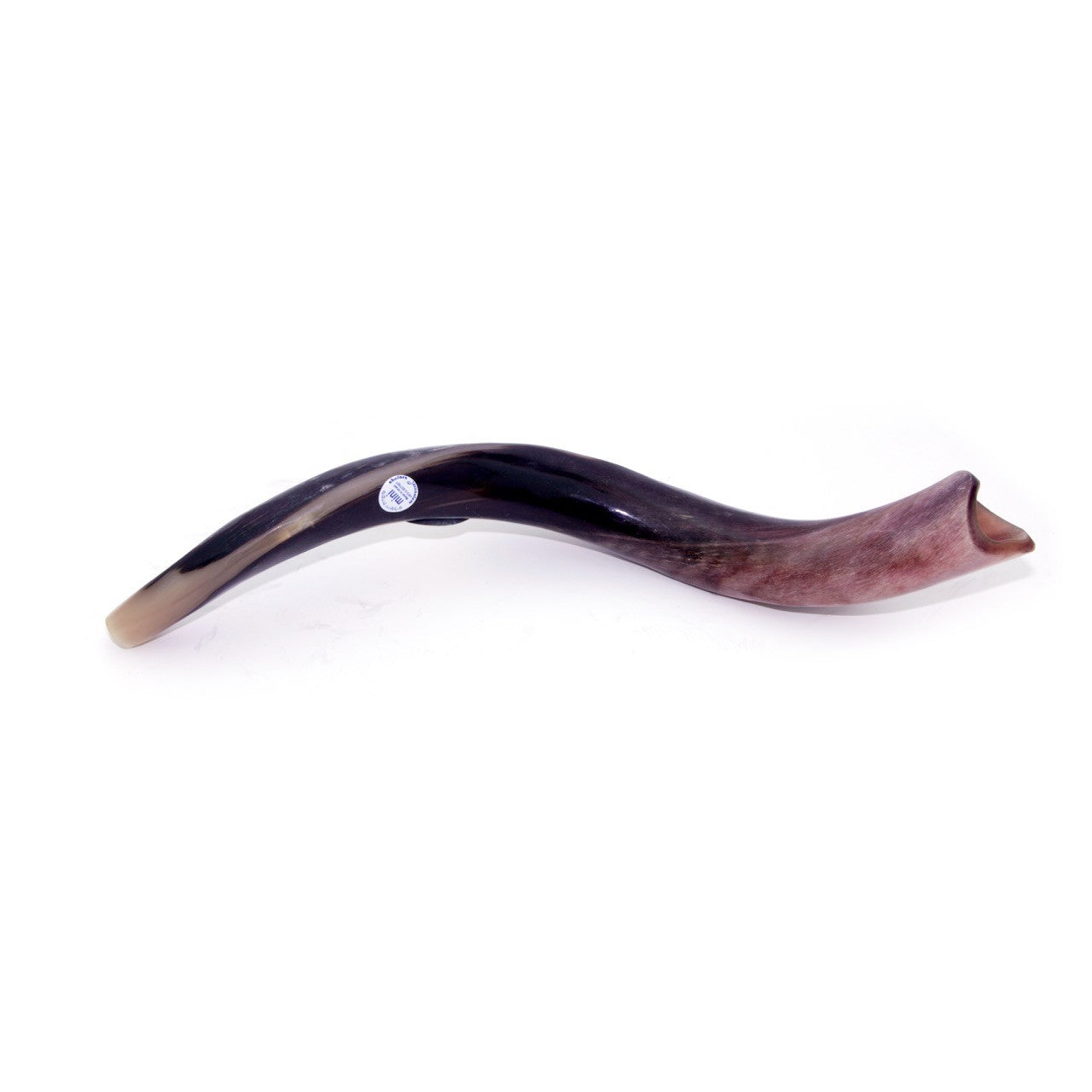 Natural Kudu Horn Shofar – 40-49 cm Yemenite Shofar - SeasideSPA