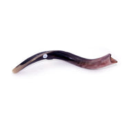 Natural Kudu Horn Shofar – 40-49 cm Yemenite Shofar - SeasideSPA