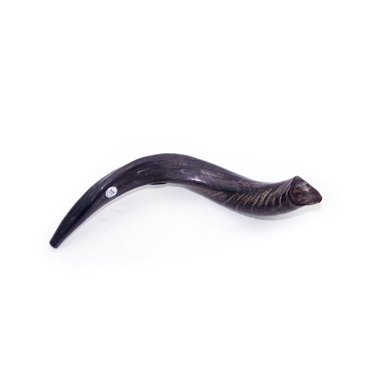Natural Kudu Horn Shofar – 40-49 cm Yemenite Shofar - SeasideSPA