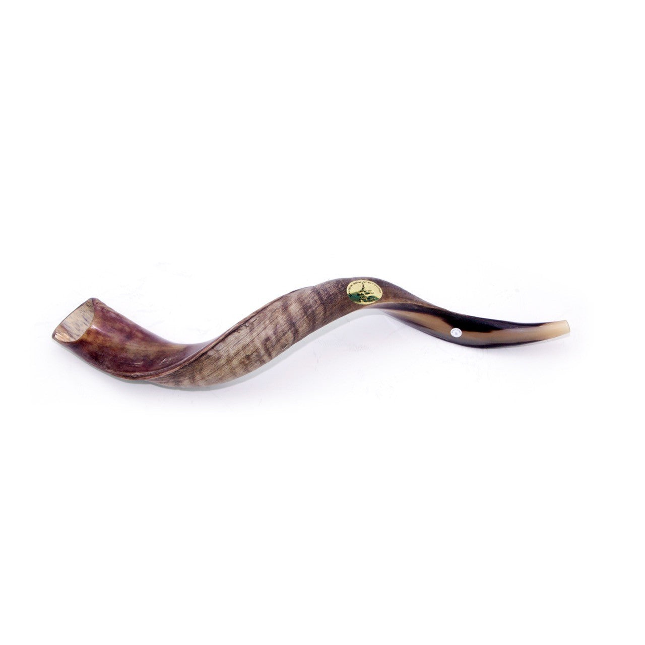 Natural Kudu Horn Shofar – 50-59 cm Yemenite Shofar - SeasideSPA