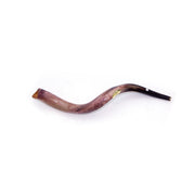 Natural Kudu Horn Shofar – 50-59 cm Yemenite Shofar - SeasideSPA