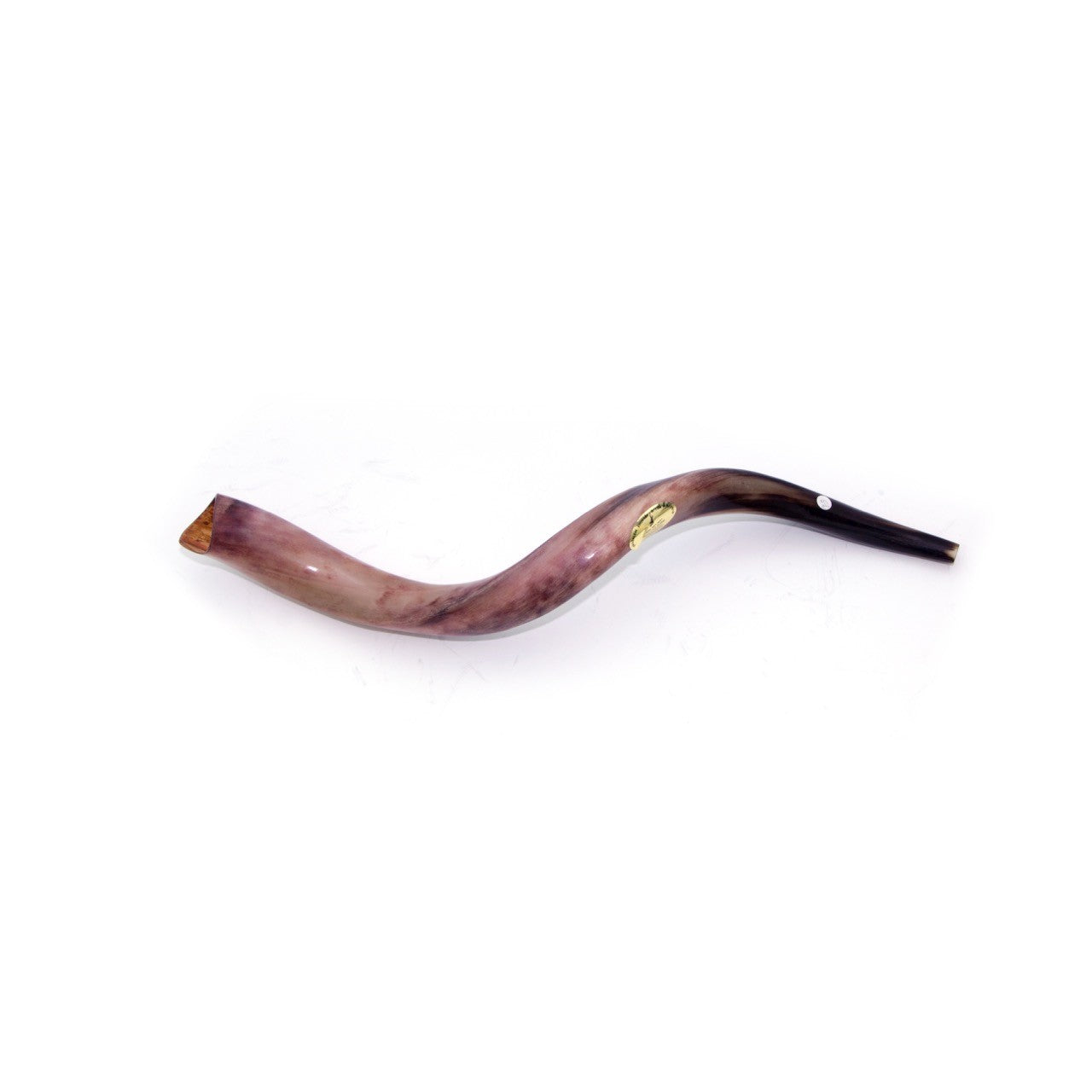 Natural Kudu Horn Shofar – 50-59 cm Yemenite Shofar - SeasideSPA