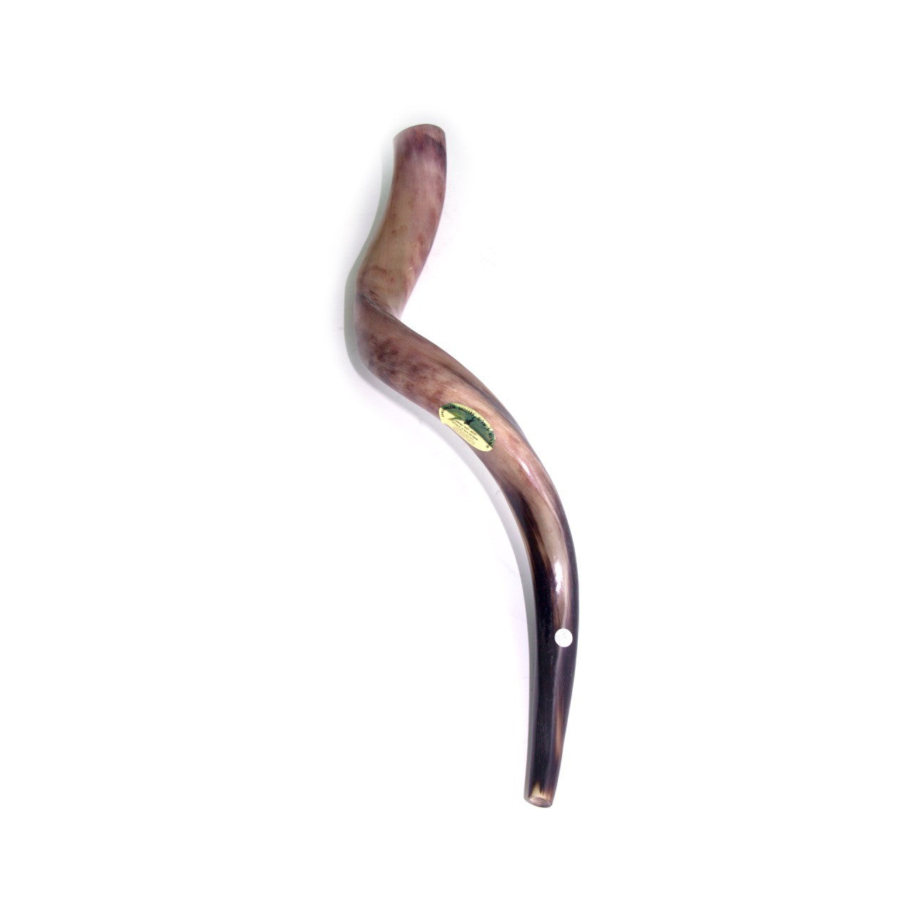 Natural Kudu Horn Shofar – 60-69 cm Yemenite Shofar - SeasideSPA