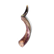 Natural Kudu Horn Shofar – 60-69 cm Yemenite Shofar - SeasideSPA