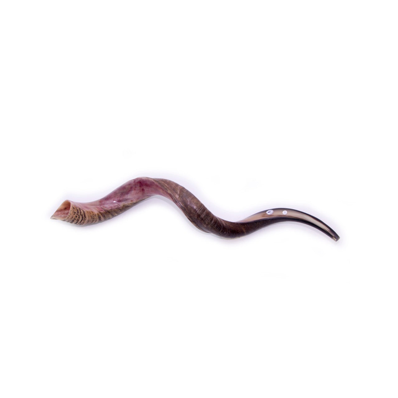 Natural Kudu Horn Shofar – 100-104 cm Yemenite Shofar - SeasideSPA