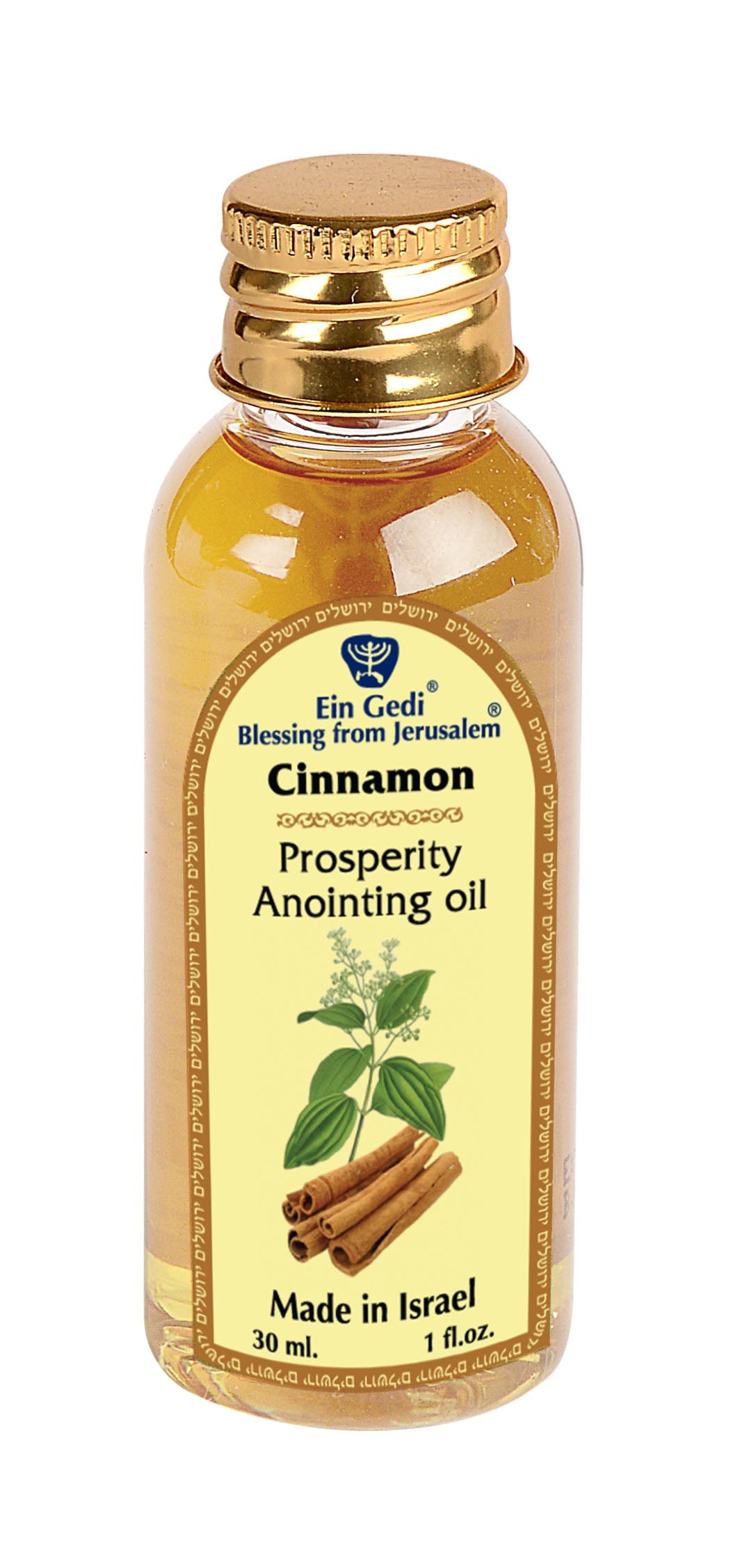 Prosperity Blessing Kit – Candle, Cinnamon Oil, Holy Water & Mustard Seeds - SeasideSPA
