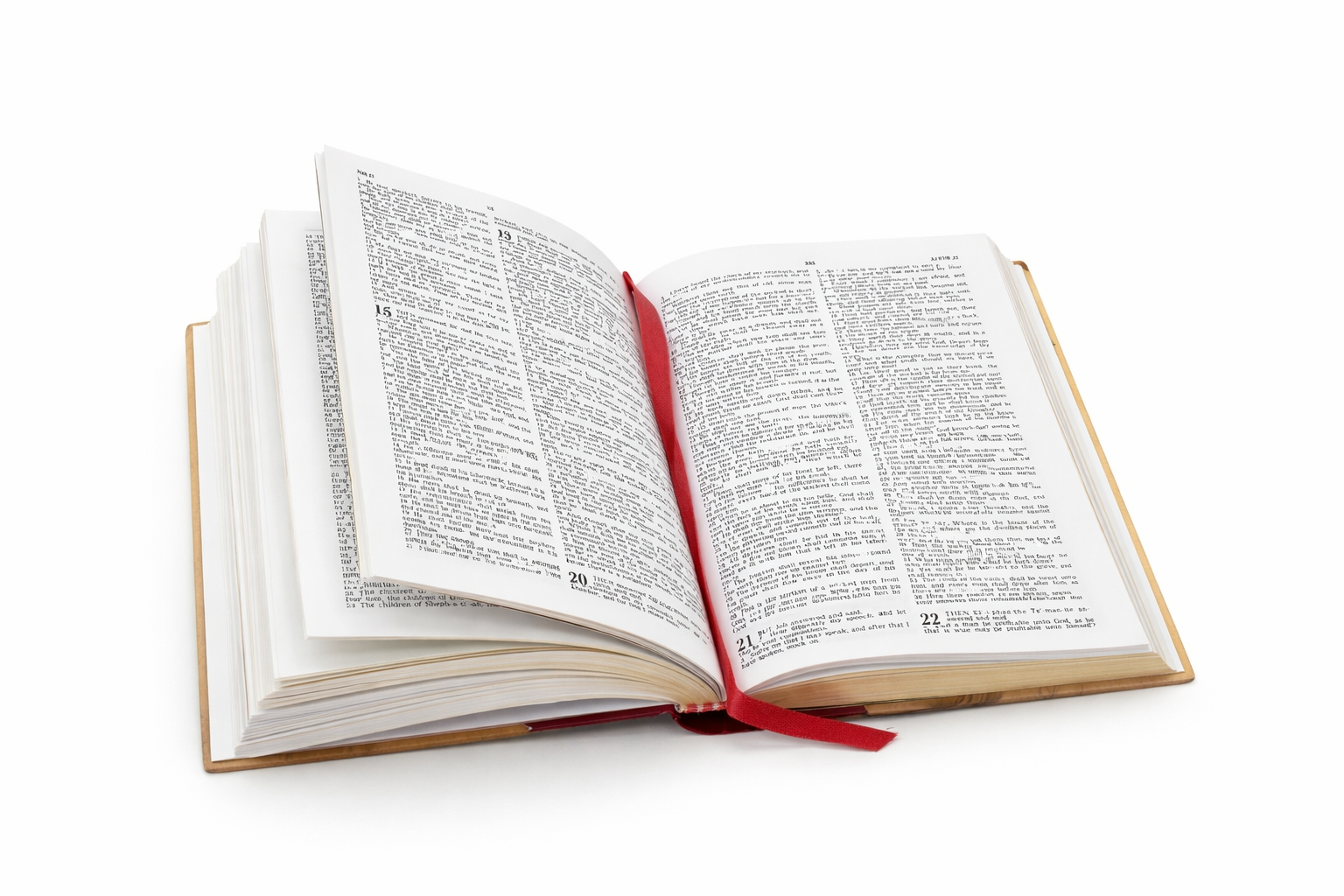 Holy Bible with Olive Wood Cover – Christian Bible Gift - SeasideSPA