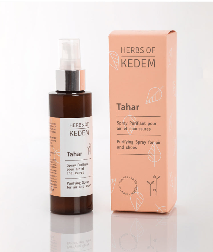 TAHAR shoes and air deodorizer - SeasideSPA